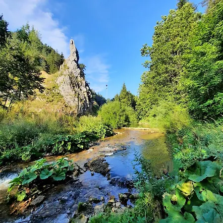Roche Pointue - - Domaine Apartment *
